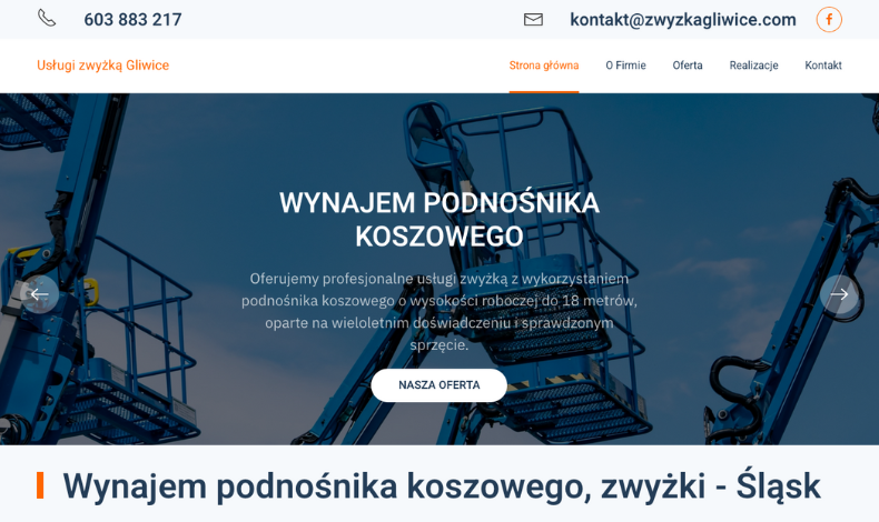 strona internetowa realizacja