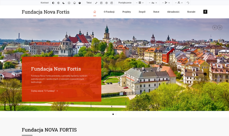 strona internetowa realizacja