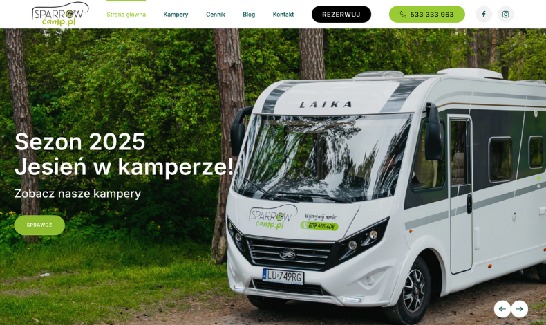 strona internetowa realizacja