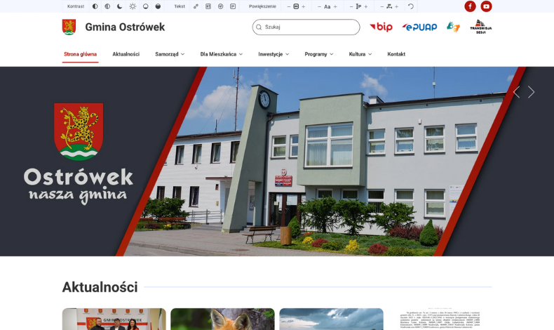 strona internetowa realizacja